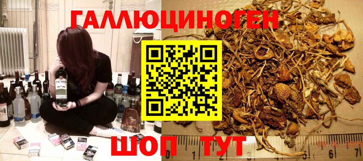 Галлюциногенные грибы GOLDEN TEACHER Лиски