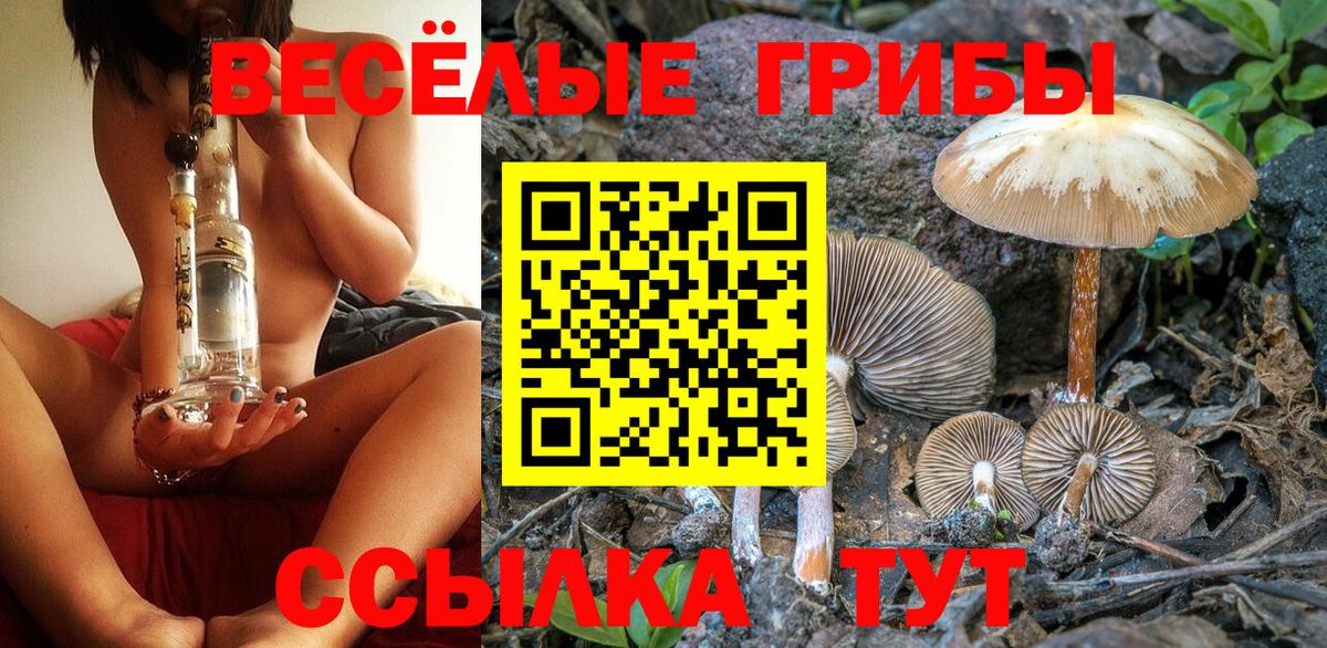 Галлюциногенные грибы Psilocybe  Вход с VPN  Лиски 